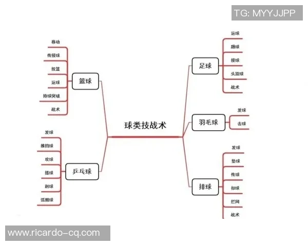 杭州排球队包夹战术解析与排球热点探讨